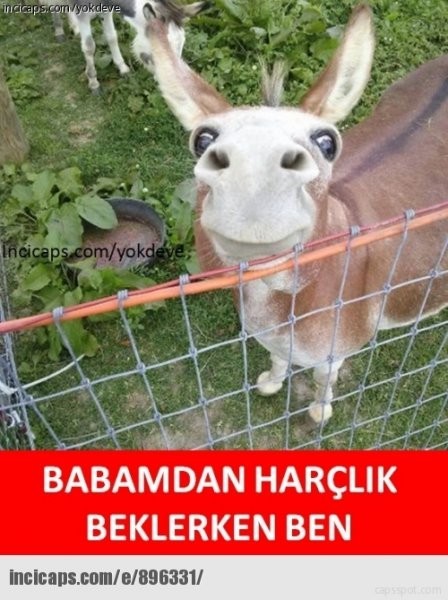 En komik Ramazan Bayramı capsleri 3