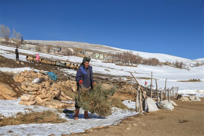 Doğuda Kış Manzaraları 18