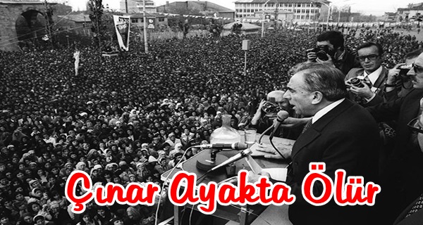 Çınar Ayakta Ölür 36