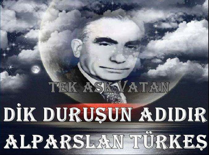 Çınar Ayakta Ölür 8