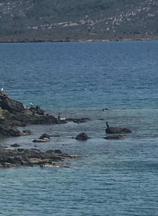 İclal'in Objektifinden Ayvalık Cunta Adasında Gün Batımı 4