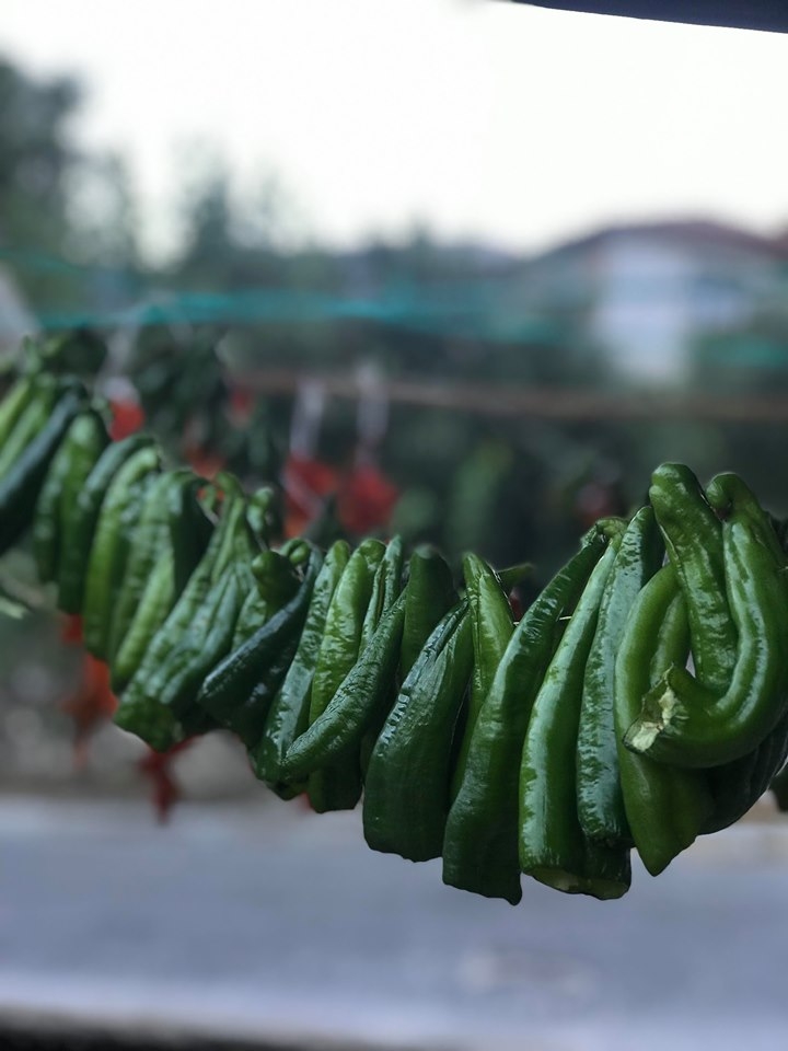 İclal'in Objektifinden Kışlık Yiyecekler 8