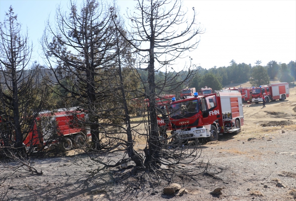 Yüreğimizi Yakan Denizli ve Marmaris'deki Ormanlarımızdan Yangın Ka 5