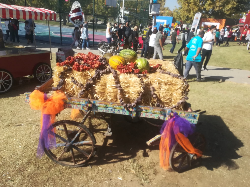 Fotoğraflarla Adana Yemek Festivali 30