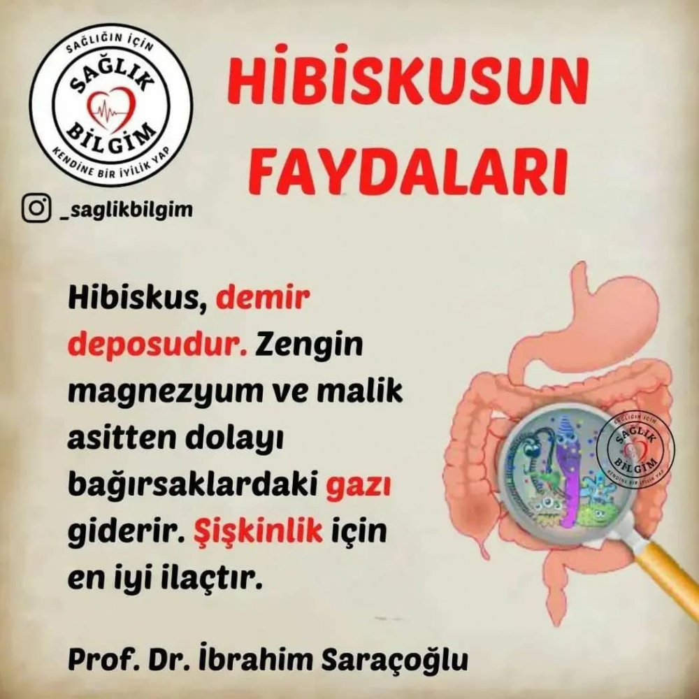 Sağlık İçin Doğal Çözüm Bilgileri 4