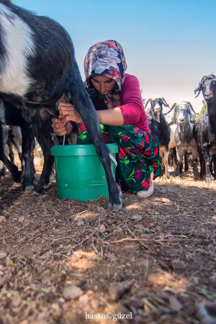 Türkler Kara Değil, Rengarenktir.. Ne mutlu Türküm 4