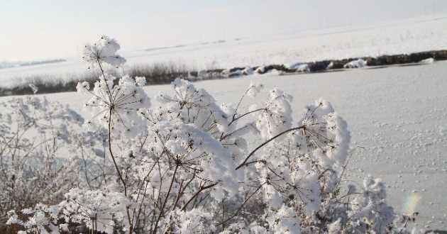 Dikkat Bugün Sibirya soğukları geliyor!