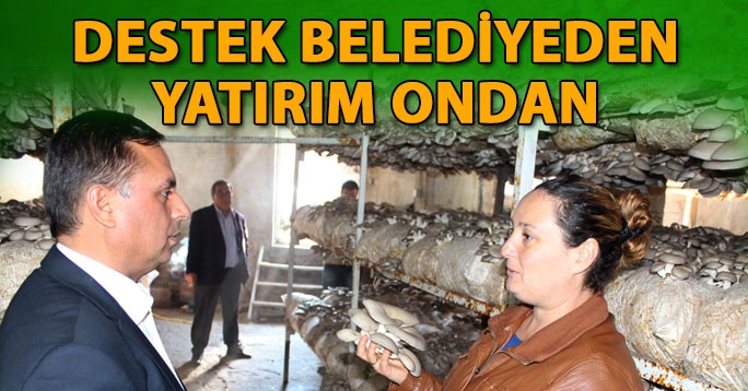 Hayata Mantarla Sarıldı