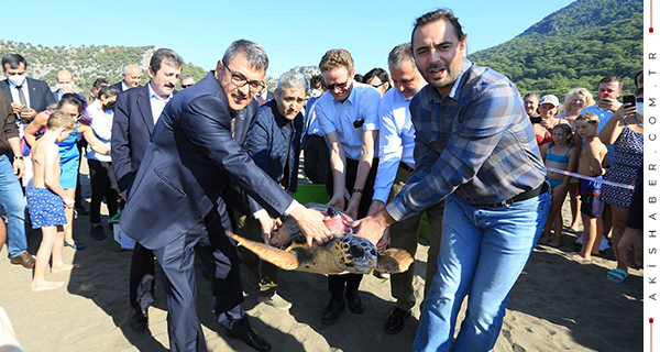 Deniz Kaplumbağaları Deniz ile Buluşturuldu