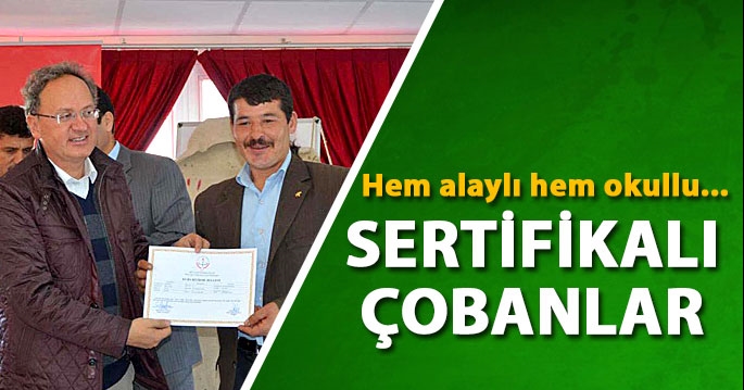 Sertifikalı çobanlar