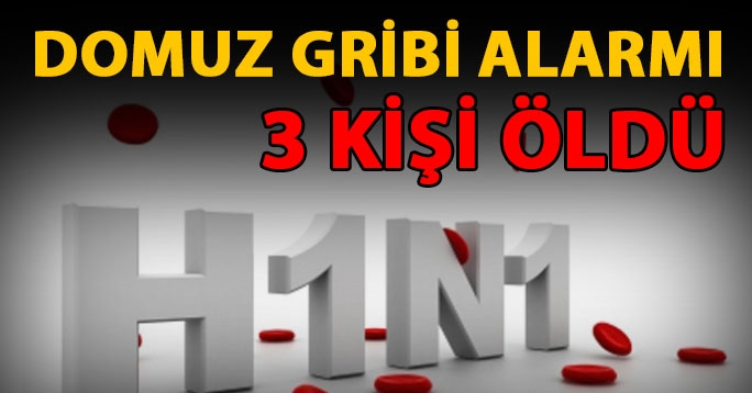 Domuz gribi alarmı