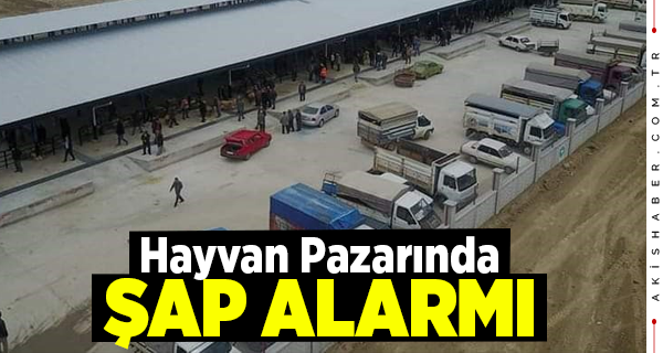 Çivril Hayvan Pazarı Kapatıldı