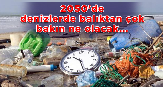 2050'de denizlerde balıktan çok bakın ne olacak