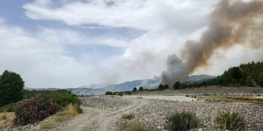 Muğla sınırında başlayan orman yangını Denizli’ye sıçradı