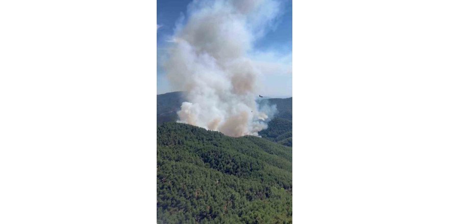 Bergama’daki orman yangına havadan ve karadan müdahale