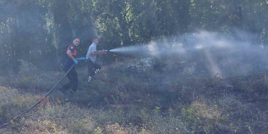 Domaniç’te makilik alanda çıkan yangın korkuttu