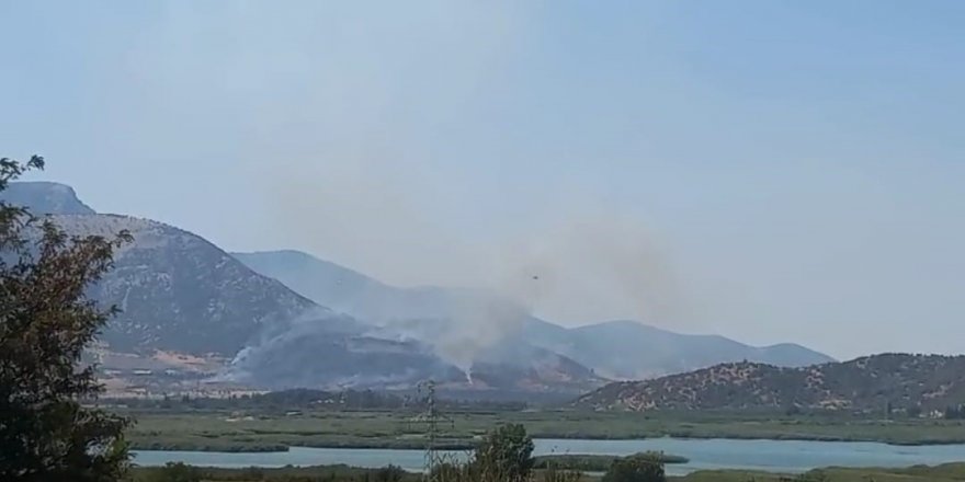 Selçuk’taki orman yangınına havadan ve karadan müdahale