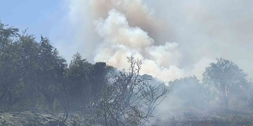 Turgutlu’da orman yangını evlere sıçradı