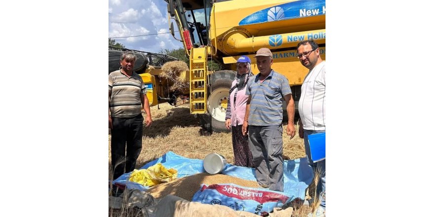 Buğday hasadı devam ediyor, çiftçiler anız yakımı konusunda uyarılıyor