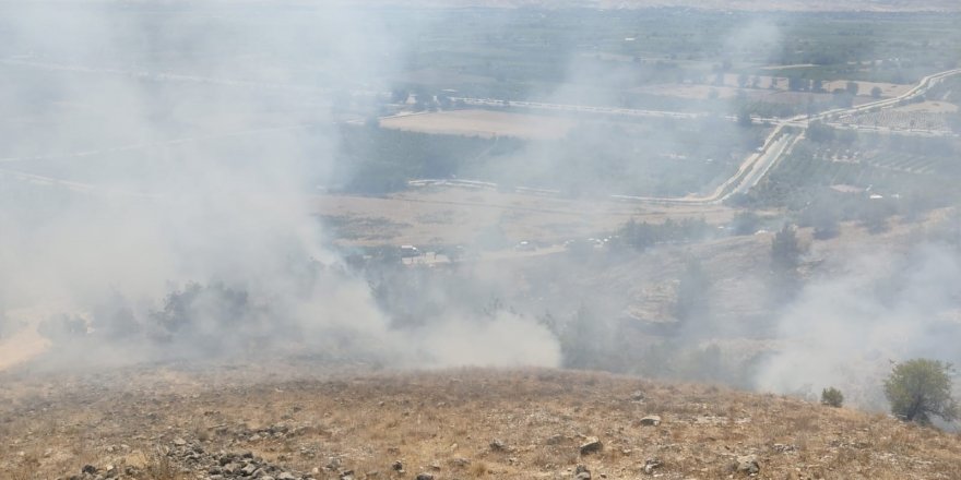 Denizli’de ormanlık alanda çıkan yangına müdahale ediliyor