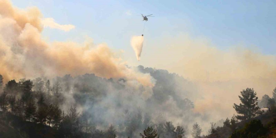 Çivril’in ciğerleri yanıyor