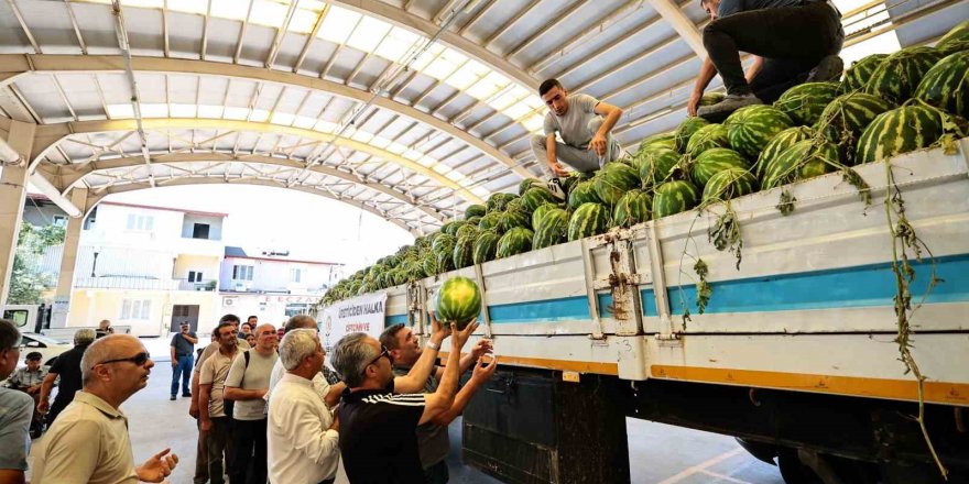 Denizli Büyükşehir tarlada kalan karpuzları halka dağıttı