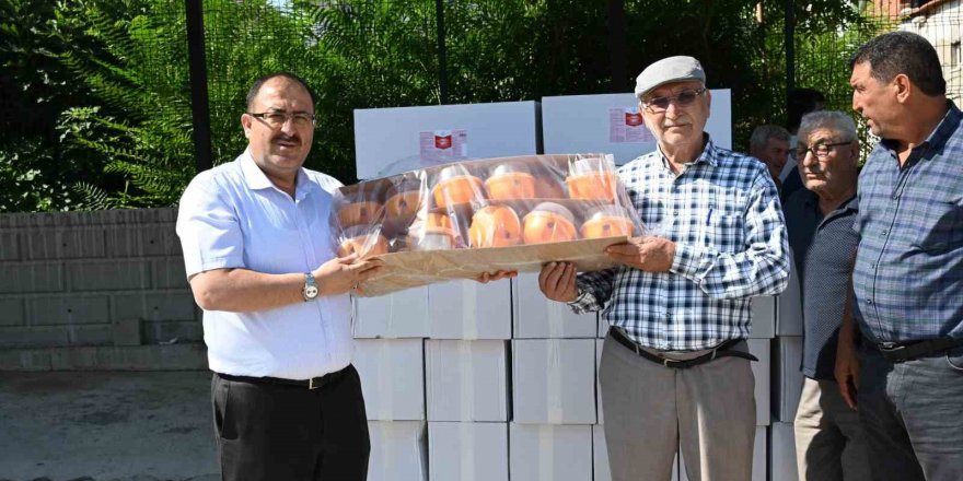 Denizli’de Akdeniz meyve sineği zararlısına karşı çiftçilere tuzak dağıtıldı