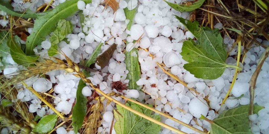 Çameli’nde şiddetli dolu ekili arazilere zarar verdi