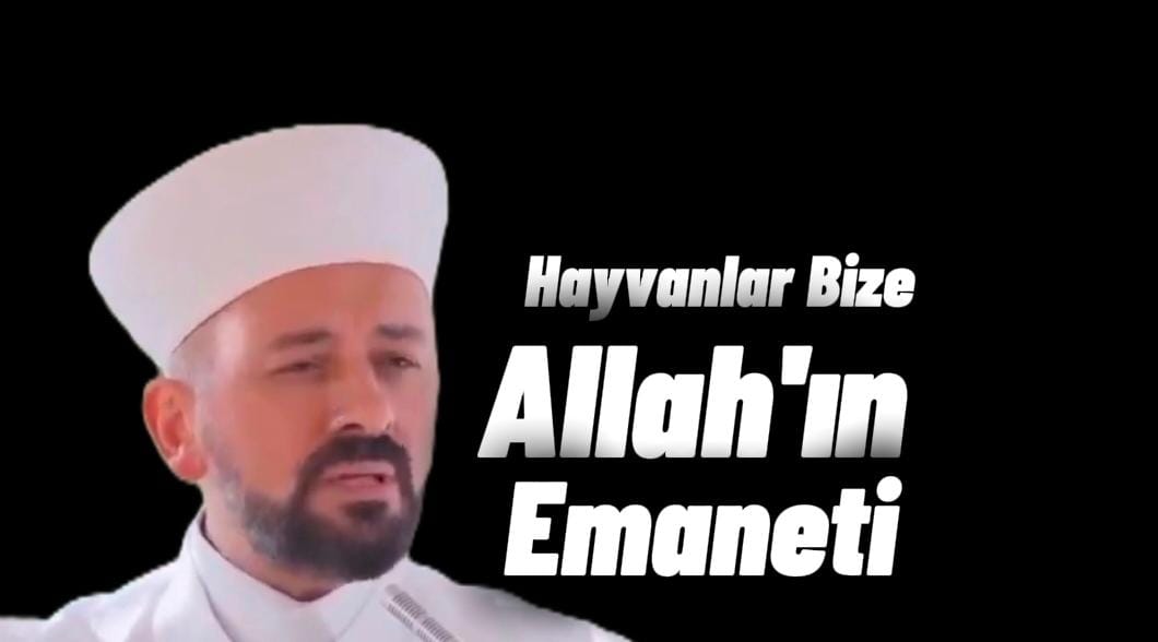 İslam Dinine Göre Hayvan Hakları